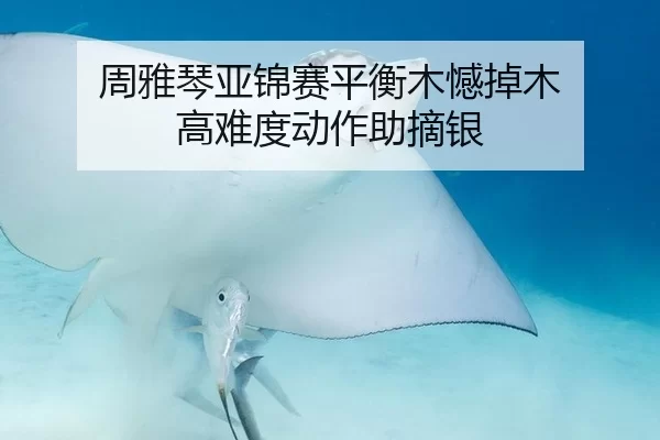 周雅琴亚锦赛平衡木憾掉木 高难度动作助摘银